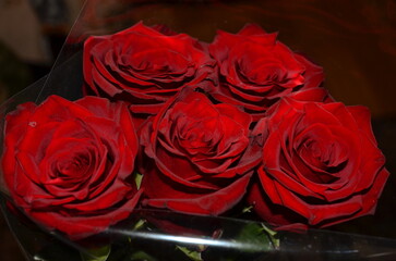 Five red roses as a symbol of romance.