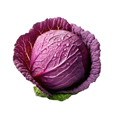 Obraz premium Freshly harvested red radish with water droplets on its surface.