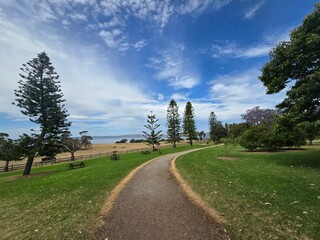 Scenic Pathway through Lush Green Park with Tall Trees and Blue Sky at Phillip Island, Australia - Nature and Outdoor Photography
