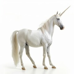 Fototapeta premium A magical unicorn standing, isolated in white, white background