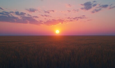 Fototapeta premium Golden sunset over a vast wheat field.