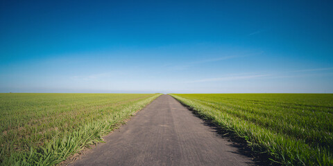 Obraz premium Path through field. Blue sky. Background. Space for copy. Marketing. Positive. Way Forward.