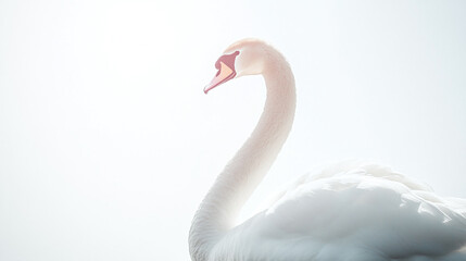 An elegant swan in a shimmering necklace, gliding in front of a bright white background, allowing for ample text space below.