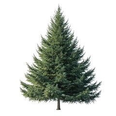 Fototapeta premium A realistic 3D rendering of a Christmas tree with a full canopy