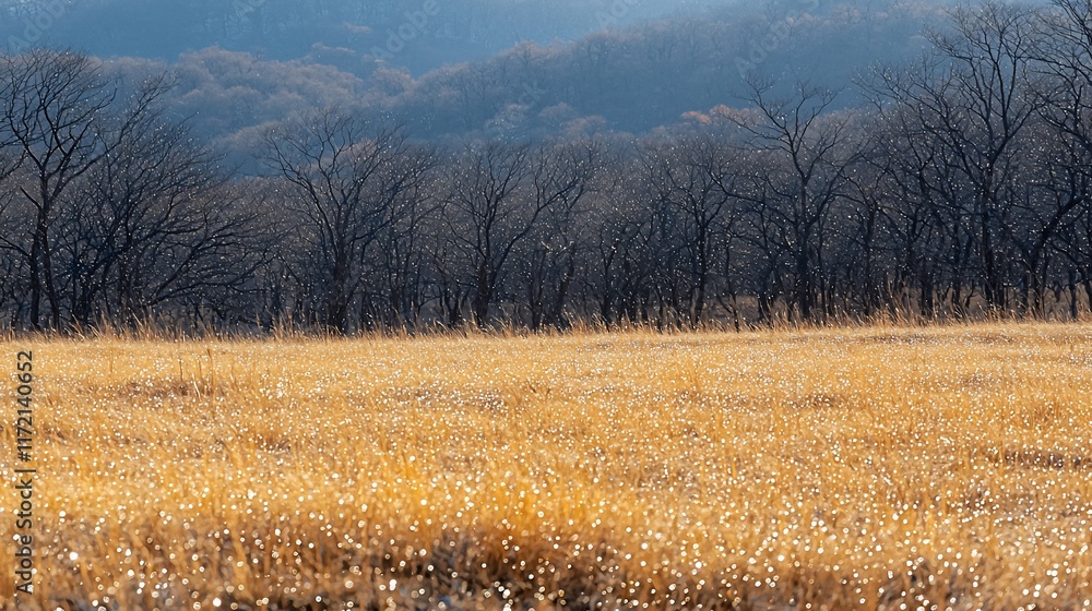 Poster frosty field with bare trees and distant mountains.