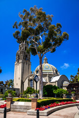 A large church with a clock tower and a tree in front of it