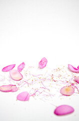 Photo of scattered flower petals and filaments on white background. Flowers background