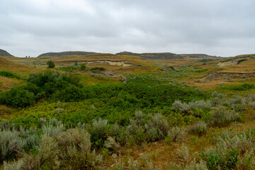 Naklejka premium Elkhorn Ranch