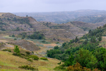 Fototapeta premium Elkhorn Ranch