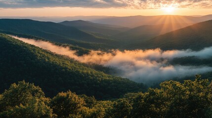 A scenic valley surrounded by sunlit forests and mountains, with mist rising in the morning.