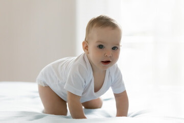 Fototapeta premium Milestone of healthy growth and development. Portrait curious excited small infant baby wear diaper white sleeveless suit crawl on large bed at home explore the world around look at camera. Copy space