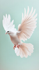 Obraz premium photorealistic depiction of white dove in flight, showcasing its elegant wings against pastel background. image evokes sense of peace and freedom