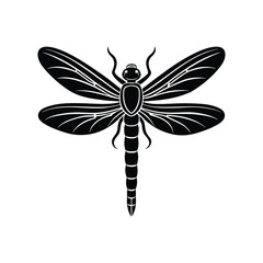 dragonfly anisoptera.eps