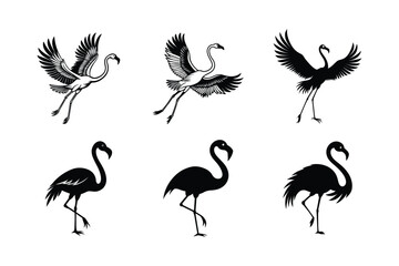 Obraz premium Flamingo bird silhouette vector art illustration