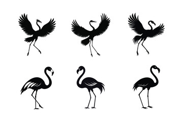 Obraz premium Flamingo bird silhouette vector art illustration