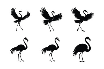 Obraz premium Flamingo bird silhouette vector art illustration