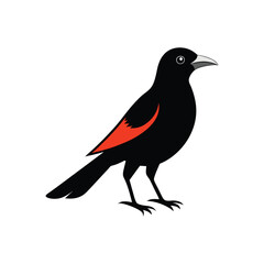 Obraz premium oriole silhouette on a white background.eps