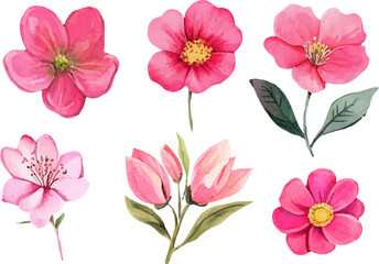 collection of flowers