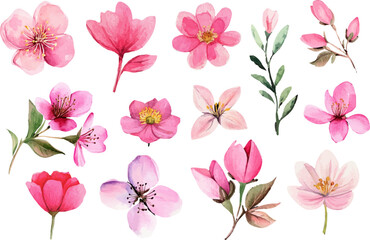 seamless background with pink flowers