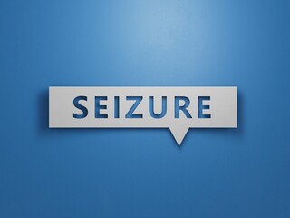SEIZURE word on notebook, stethoscope and green plant.Minimalist Abstract Design With White Cut Out Paper.3D rendering on blue background.