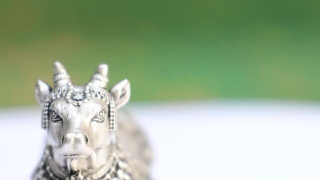 Nandi Maharaj, the sacred bull of Lord Shiva in Hindu mythology. 925 Silver Indian Deity Idol High Detail Finish for Pooja and Home Decor. Hindu Religions. He is also the guardian deity of Kailash