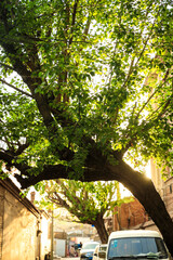 Fototapeta premium Old buildings in summer in Baozili scenic spot, Zhangjiakou, Hebei, China