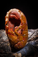 Jade and agate crafts beautifully carved using traditional techniques