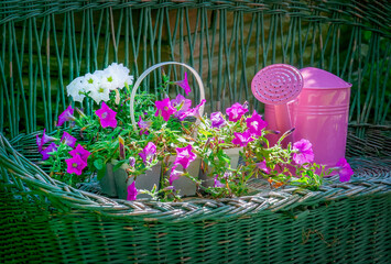 Wicker bench with tools for gardening planting, watering can