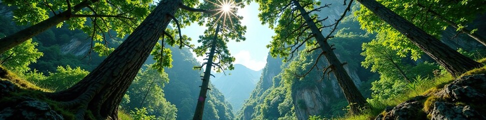 Ancient tree trunks pierce the sky in Kodori Gorge, treetops, forest, kodori gorge