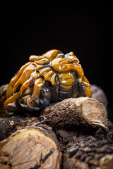 Jade and agate crafts beautifully carved using traditional techniques
