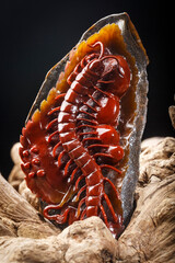 Jade and agate crafts beautifully carved using traditional techniques