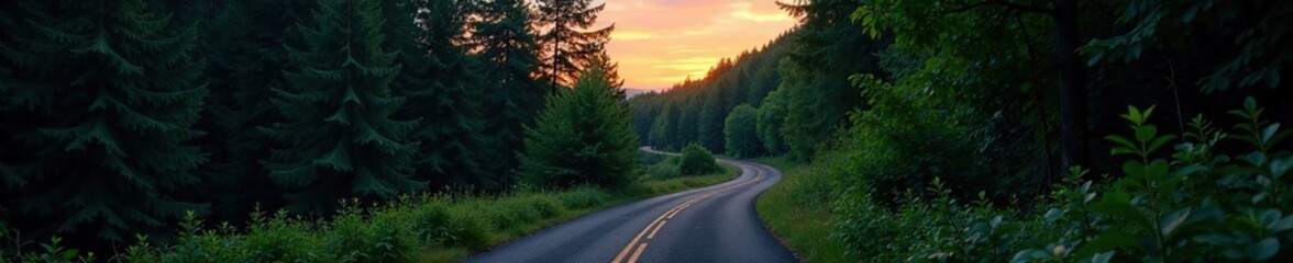 Naklejka premium Dense forest at dusk with a winding road in the distance, forest, atmosphere, foliage