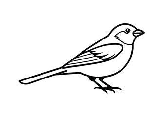 sparrow on a branch