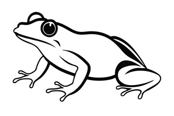 frog Silhouette on white background
