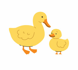 Mother duck and her baby duckling. Flat vector illustration.