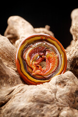 Jade and agate crafts beautifully carved using traditional techniques