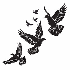vector illustration of a flying birds