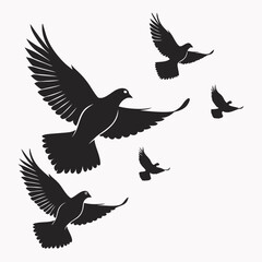 vector illustration of a flying birds