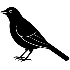 bird on a branch