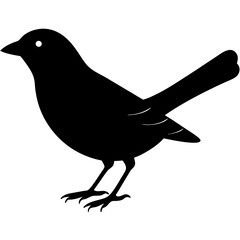 bird on a branch