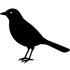 bird on a branch
