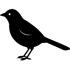 bird on a branch