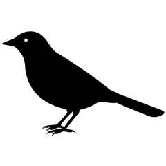 bird on a branch