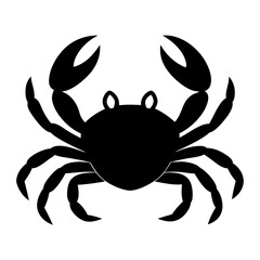 crab isolated on white background
