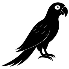 🦜 Free Parrot Vector – Download High-Quality SVG & PNG for Design Projects