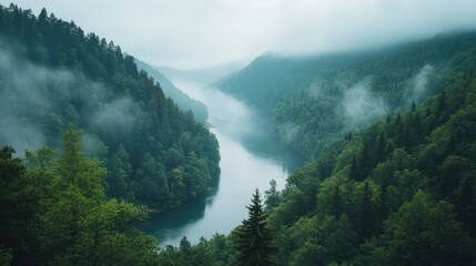 the beauty of a river in a mountain valley