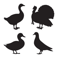 Fototapeta premium Silhouette vector Birds and animals