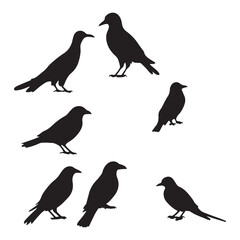 Fototapeta premium Silhouette vector Birds and animals
