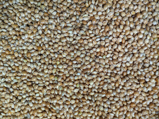 Yellow raw organic healthy millet grain seeds textured background.