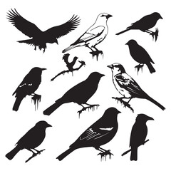 Silhouette vector Birds and animals